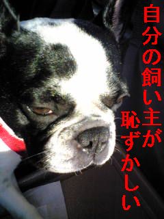 思い込みって恐い！