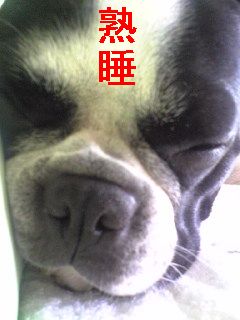 病院は大嫌い！