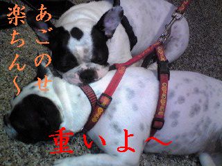 散歩あとの２人