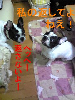 譲る気持ち０％