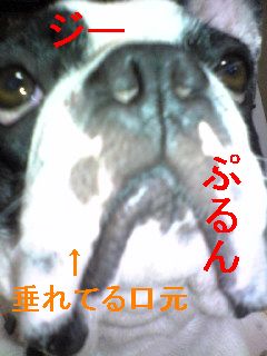 目ざとい女たち