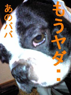 譲る気持ち０％