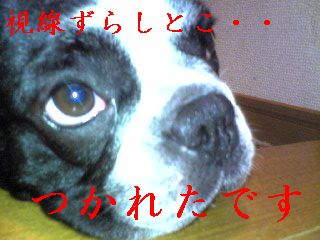 散歩あとの２人
