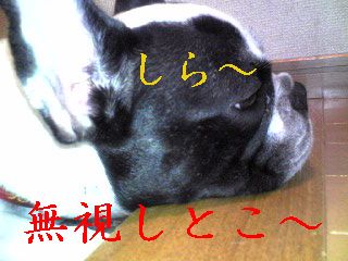 散歩あとの２人