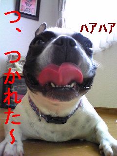 Ｒ１８指定でお願いします