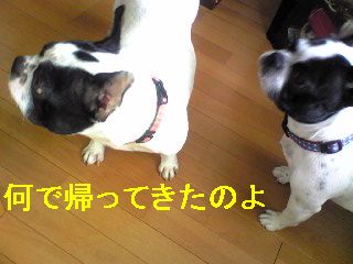 Ｒ１８指定でお願いします