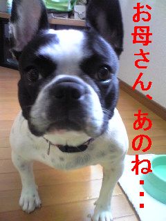 Ｒ１８指定でお願いします
