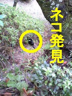浜松城公園でお散歩
