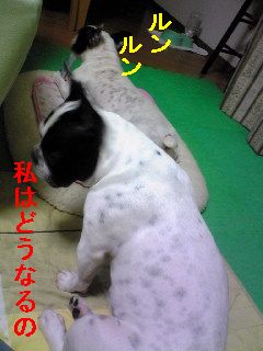 気まぐれな女