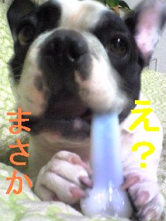 ガン見！