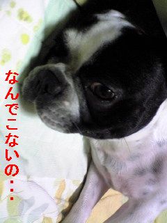 気まぐれな女