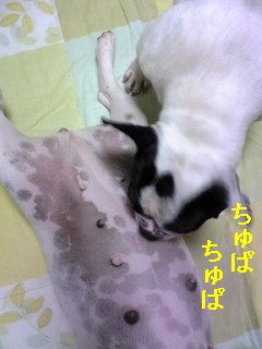 気まぐれな女