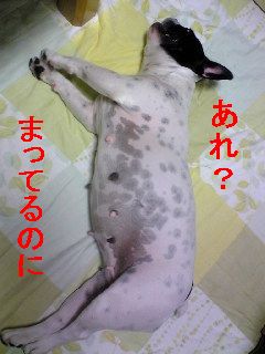 気まぐれな女