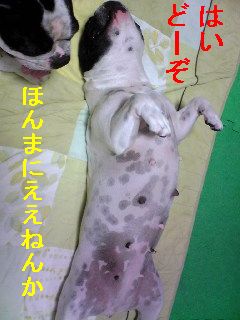 気まぐれな女