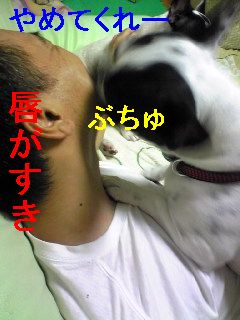 排卵日