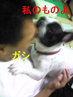 排卵日