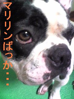 排卵日