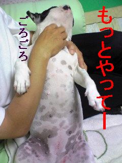いじけむし