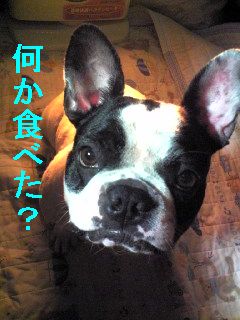 ゆっくり出来ないコーヒーブレイク