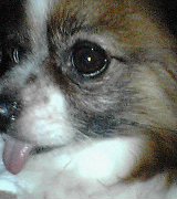今日のお散歩