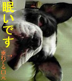 おしゃぶり