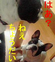 おしゃぶり