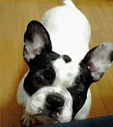 ごはんどき