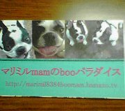眠れなかったので