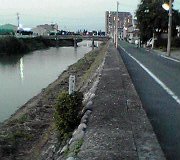 お散歩