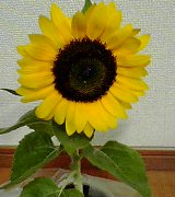 再会