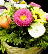 お花