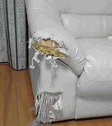 いない間に・・・
