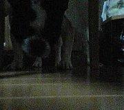 いない間に・・・