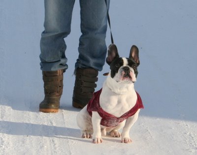 フレ友　北海道の大吉くん