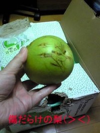 回想