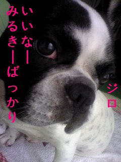 すねるマリリン