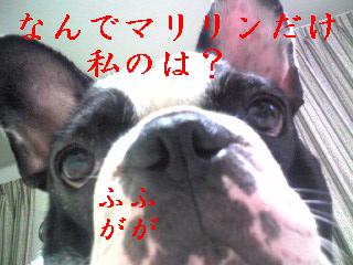 おやつの取り合いで・・・