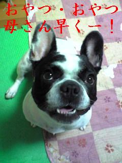 おやつの取り合いで・・・