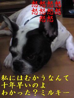 おやつの取り合いで・・・