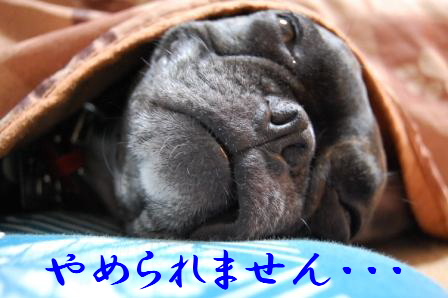 バトン