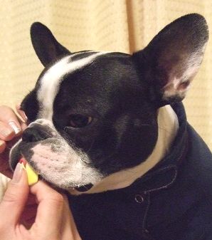 おはようございます。