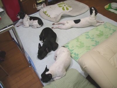 封筒の中身は？