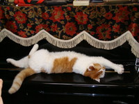 早起きしてみました。 2009/10/01 06:19:28