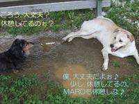 お友達がきたぁ～☆(ﾊﾞﾄﾙﾓｰﾄﾞ)