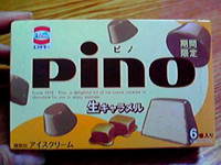 期間限定 2009/01/08 21:52:06