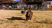 ﾄﾞｯｸﾗﾝ日和 2009/02/09 15:02:13