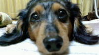 只今…反省中 m(_ _)m 2009/02/26 12:43:47