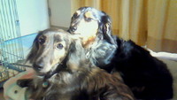 朝から… 2009/03/04 12:49:10