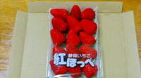 いちごのお土産 2009/03/10 12:42:01