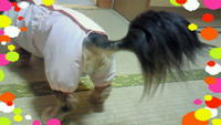 雨の散歩 2009/06/22 19:43:10